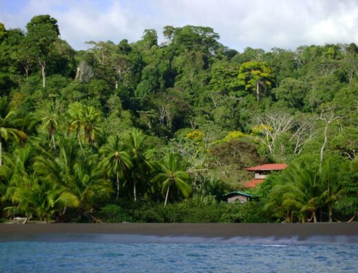 AyaAdvisors - Ayahuasca Retreat Rrguariadeosa-from-ocean
