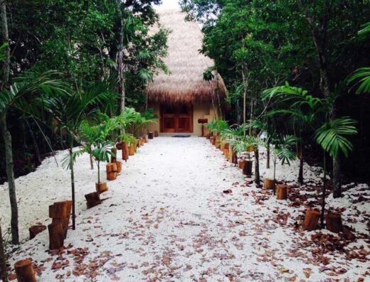 Aya de la Vid - AyaAdvisors - Ayahuasca Retreat Reviews