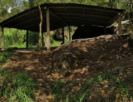 Origen Eco Resort - AyaAdvisors - Ayahuasca Retreat Reviews