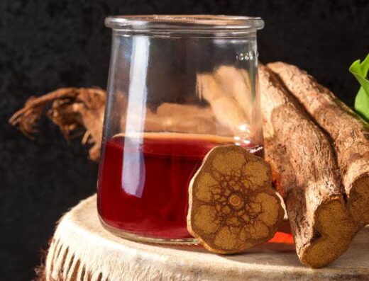 An image of a glass jar which is halfway full of a clear liquid that is a reddish amber, with a cross section of the Ayhuasca vine leaning up against the jar, which is sitting on a table with a large piece of the vine laying on it as well