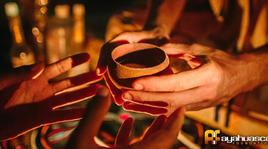 Ayahuasca Retreats May Be Coming to New York