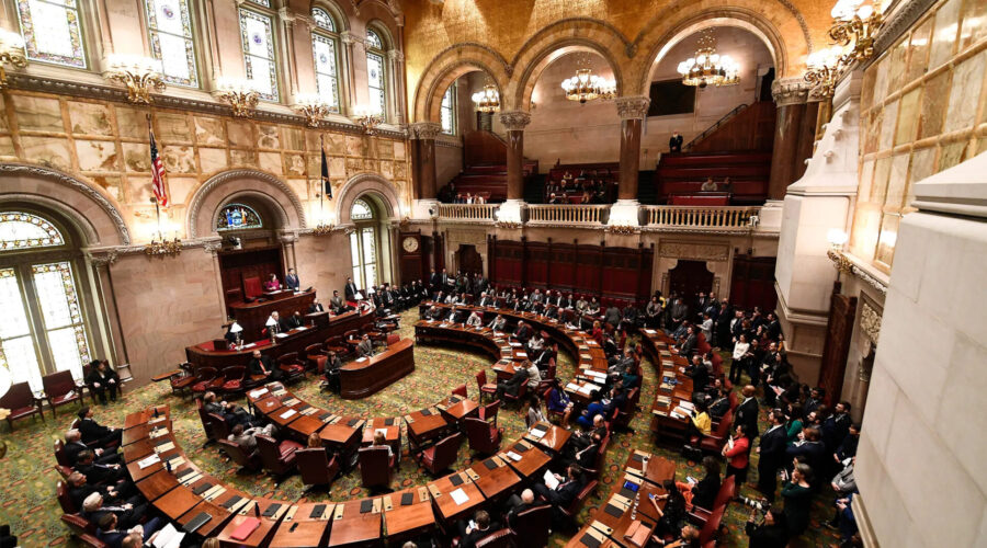 3 More U.S. States Move Toward Plant Medicine Legalization