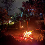 A nighttime campfire in surrounded by tropical trees