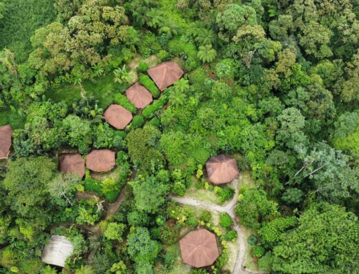 A birds-eye view of vast, lush, green jungle trees with jungle huts dotted throughout