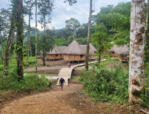 A series of jungle huts with thatched rooves sit on the other side of a wooden foot bridge in the jungle