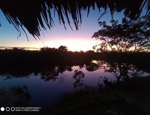 The sun sets in the mostly-purple horizon over water with tropical tree leaves partly framing the top of the view