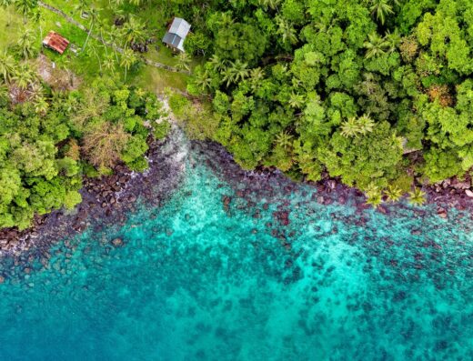 Aaram Se Ayahuasca - Ayahuasca retreat