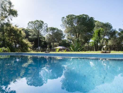 Buddha statues sit next to a sparkling blue pool surrounded by trees at Sinchi Runa - an ayahuasca retreat