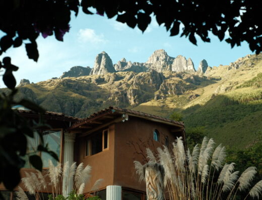 Ayahuasca retreats at Reverie Wellness Center