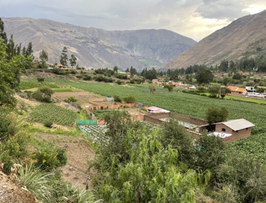 Huachuma Wasi - Sacred Valley, Peru